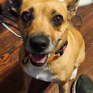 Meet your Posher, Gary